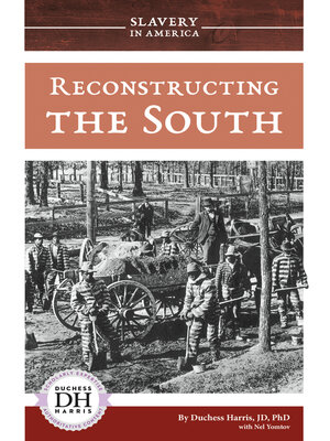 cover image of Reconstructing the South